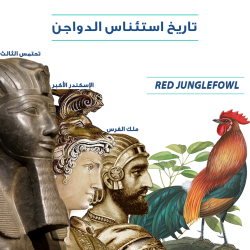 تاريخ استئناس الدواجن 