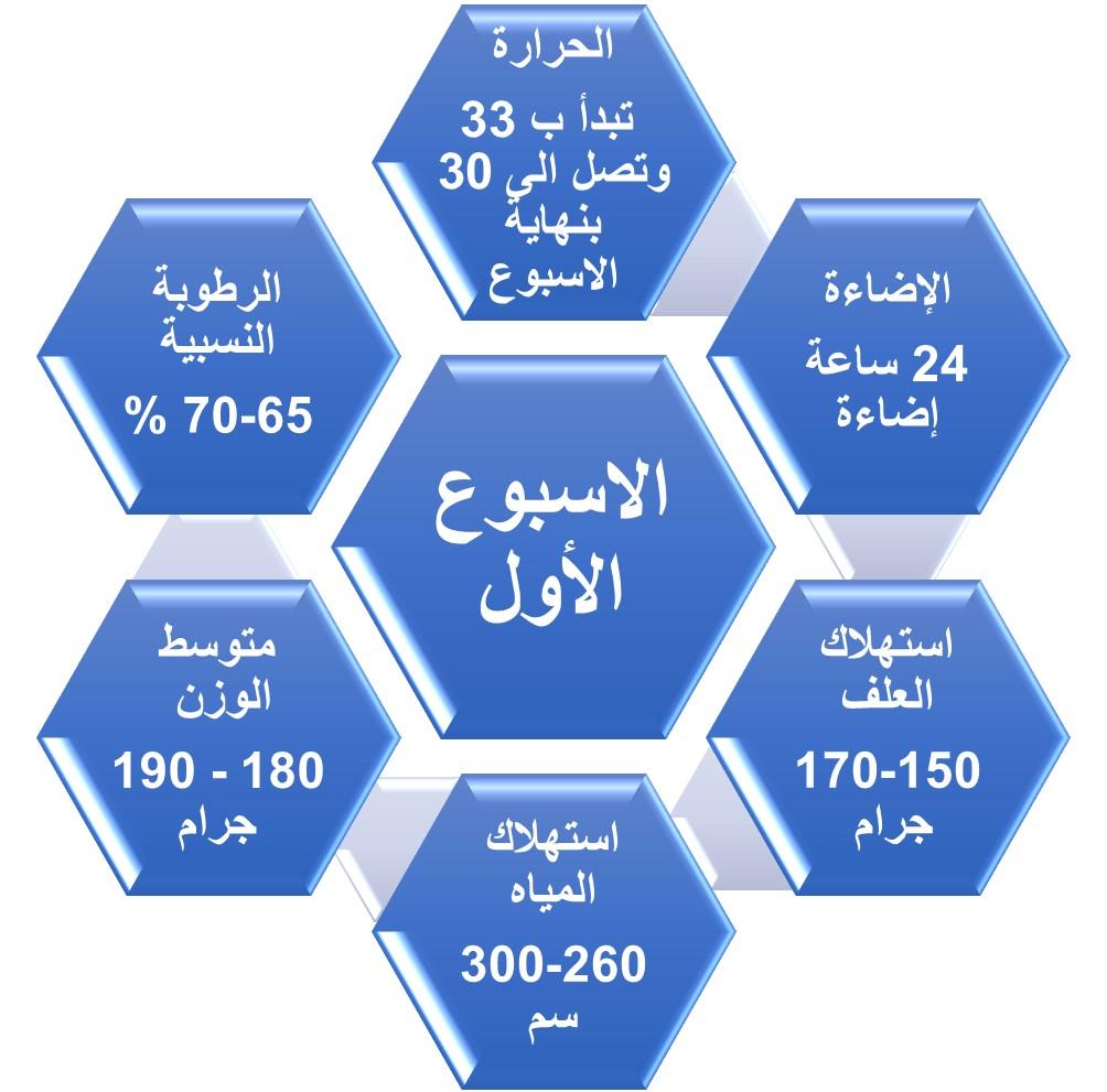 WEEK 1 الاسبوع الأول