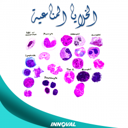 الخلايا المناعية في الدواجن