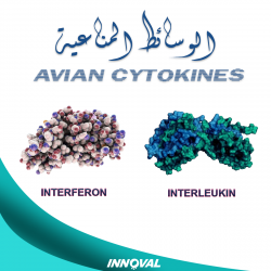الوسائط المناعية Avian Cytokines