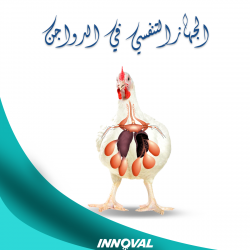 الجهاز التنفسي في الدواجن